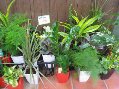 新着入荷商品 609 - 美笠工藝社 新着入荷商品 609 - 美笠工藝社